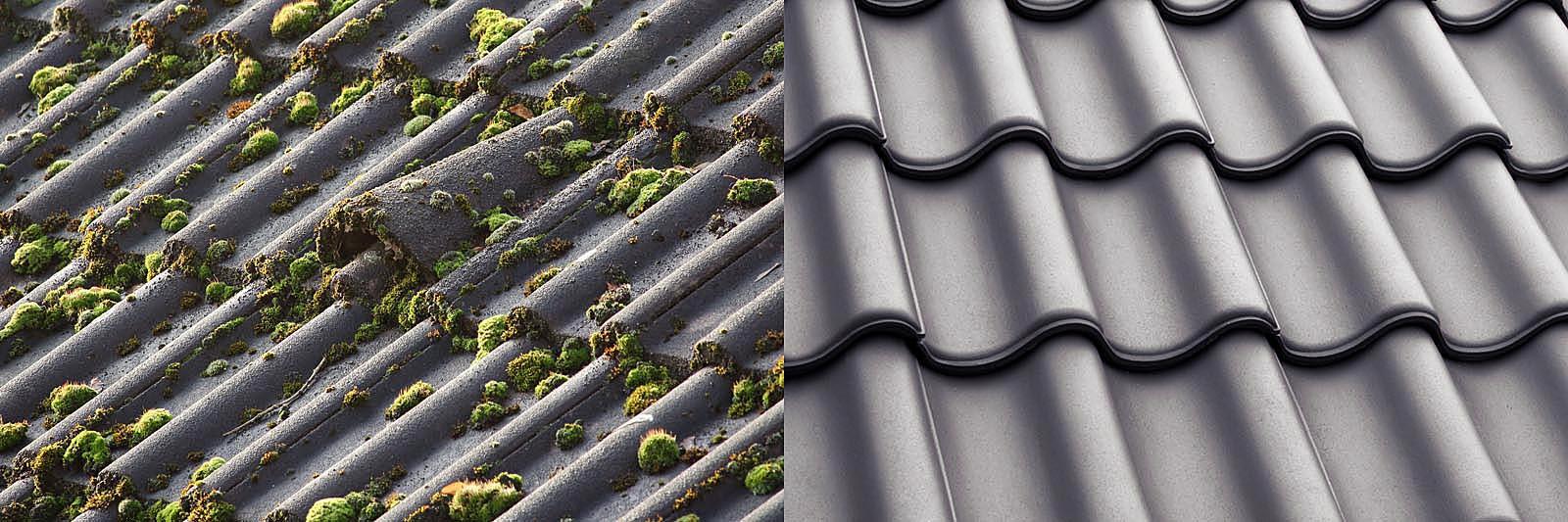 Dachreinigung Reinix