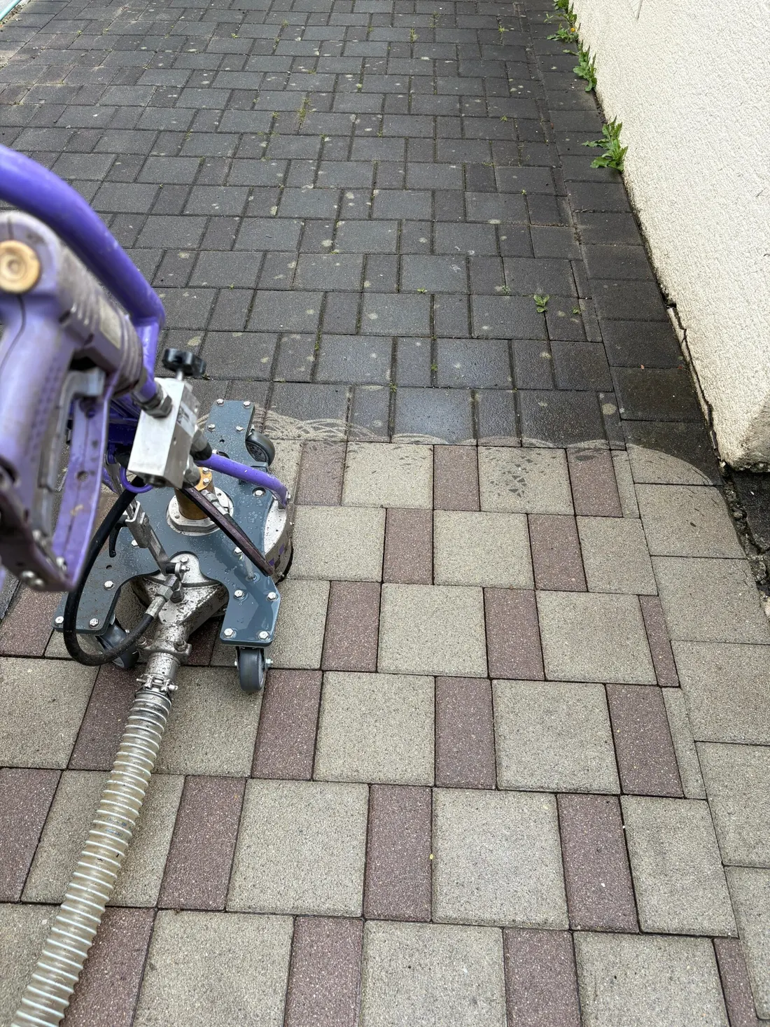 Bodenreinigung
